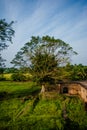 Talatal Ghar, Talatal Ghar is located in Rangpur, Sivasagar, Assam. Grandest examples of Tai Ahom architecture