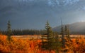 Talbot lake landscape in Jasper national park, Canada Royalty Free Stock Photo