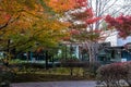 Tale of Genji Museum in Autumn leaves