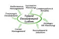 Talent Development System