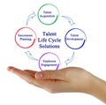 Talent Life Cycle Solutions Royalty Free Stock Photo