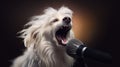 A talented Cool Stylish dog showcases their vocal prowess in