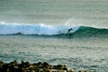 Talented surfer on the big waves of the Pacific Ocean at Hanga Roa, Easter Island, Chile