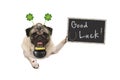 Talisman pug puppy dog, with shamrock clover, golden coins, lady bug and horse shoe for good luck and success Royalty Free Stock Photo