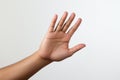 Talk to the Hand hand gesture on white background Royalty Free Stock Photo
