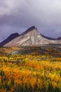 The Talkeetna Mountains in Fall Royalty Free Stock Photo
