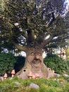 Talking happy tree as a concept of green peace. Fairy tree. Royalty Free Stock Photo