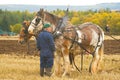 Talking to the horses.