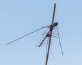 A tall antenna is on a pole Royalty Free Stock Photo