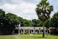 A tall and beautiful Borassus flabellifer, tal palm tree against a school with cloudy sky