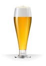 Tall beer mug Royalty Free Stock Photo