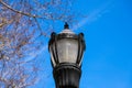 A tall black lamp post surrounded by bare winter trees with clear blue sky in the Marietta Square Royalty Free Stock Photo