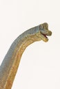 A Tall Brachiosaurus Dinosaur, or Arm Lizard Royalty Free Stock Photo