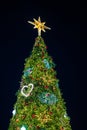 Tall bright christmas tree with star Royalty Free Stock Photo