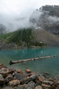 Tall broken tree bark fallen in a turquoise lake in Banff Royalty Free Stock Photo