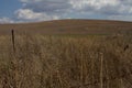 Tall brown grass behind thin barbed wire fence with hill in the background