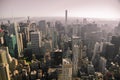 Newyork Skyline from Air