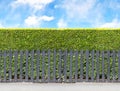 Tall bush hedge with black wooden fence. Seamless endless patte