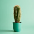 A tall cactus in a flowerpot, in front of a mint green wall, modern low maintenance living