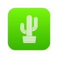 Tall cactus icon green vector