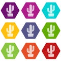 Tall cactus icons set 9 vector