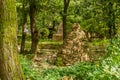 Cairn under shade trees woodland park