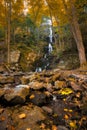 Tall cascading waterfall surrounded by dense fall foliage and colorful leaves. Royalty Free Stock Photo