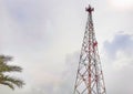 Tall cell phone tower with coconut tree leaves