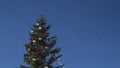 Tall Christmas tree against blue sky