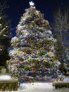 Tall Christmas tree in Big Bear.