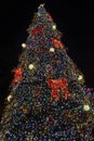 Tall Christmas Tree in black night background