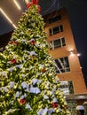 Tall Christmas Tree, Bridge Park, Dublin, Ohio Royalty Free Stock Photo