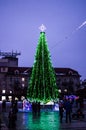 A tall city Christmas tree brings a lot of joy.