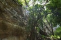 Tall cliff in jungle in Chiapas, Mexico