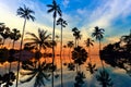 Tall coconut palm trees at twilight sky reflected in water Royalty Free Stock Photo