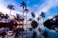 Tall coconut palm trees at twilight sky reflected in water Royalty Free Stock Photo