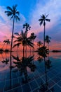 Tall coconut palm trees at twilight sky reflected in water Royalty Free Stock Photo