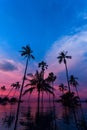 Tall coconut palm trees at twilight sky reflected in water Royalty Free Stock Photo