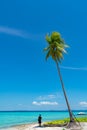 Tall coconut palms against tropical blue sky