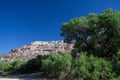 Tall cottonwood trees and marsh grasses grow alongside the lagoon in Dead Horse Ranch State Park, with a rocky cliff in the backgr Royalty Free Stock Photo