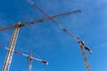 Tall cranes from a construction site rising into the sky