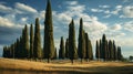 Tall Cypress Trees In Florentine Renaissance Style