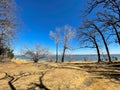 Tall dormant and bare trees along sandy shoreline of Lake Lewisville near Dallas, Texas, America