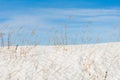 Tall dry grass on the snow against the blue sky. Bright winter abstract background Royalty Free Stock Photo