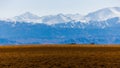 tall dry yellow grass field in front of mountains sunny autumn afternoon Royalty Free Stock Photo