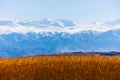 tall dry yellow grass field in front of mountains sunny autumn afternoon Royalty Free Stock Photo