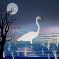 Tall egret wading in low waters in the evening with Full moon