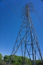 Tall Electric Powerline Royalty Free Stock Photo