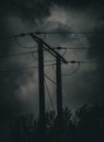Tall electrical pole, silhouetted against a backdrop of trees and power lines