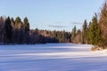 Tall forest trees on the banks of a frozen snow-covered river. Royalty Free Stock Photo